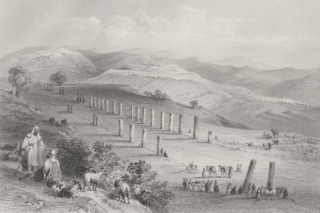 ISRAEL. Colonnade, Sebaste, Samaria-Bartlett 1847 old antique print picture